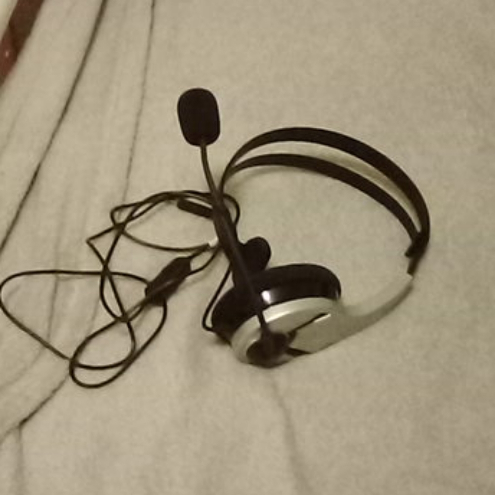 PS4 headphones
